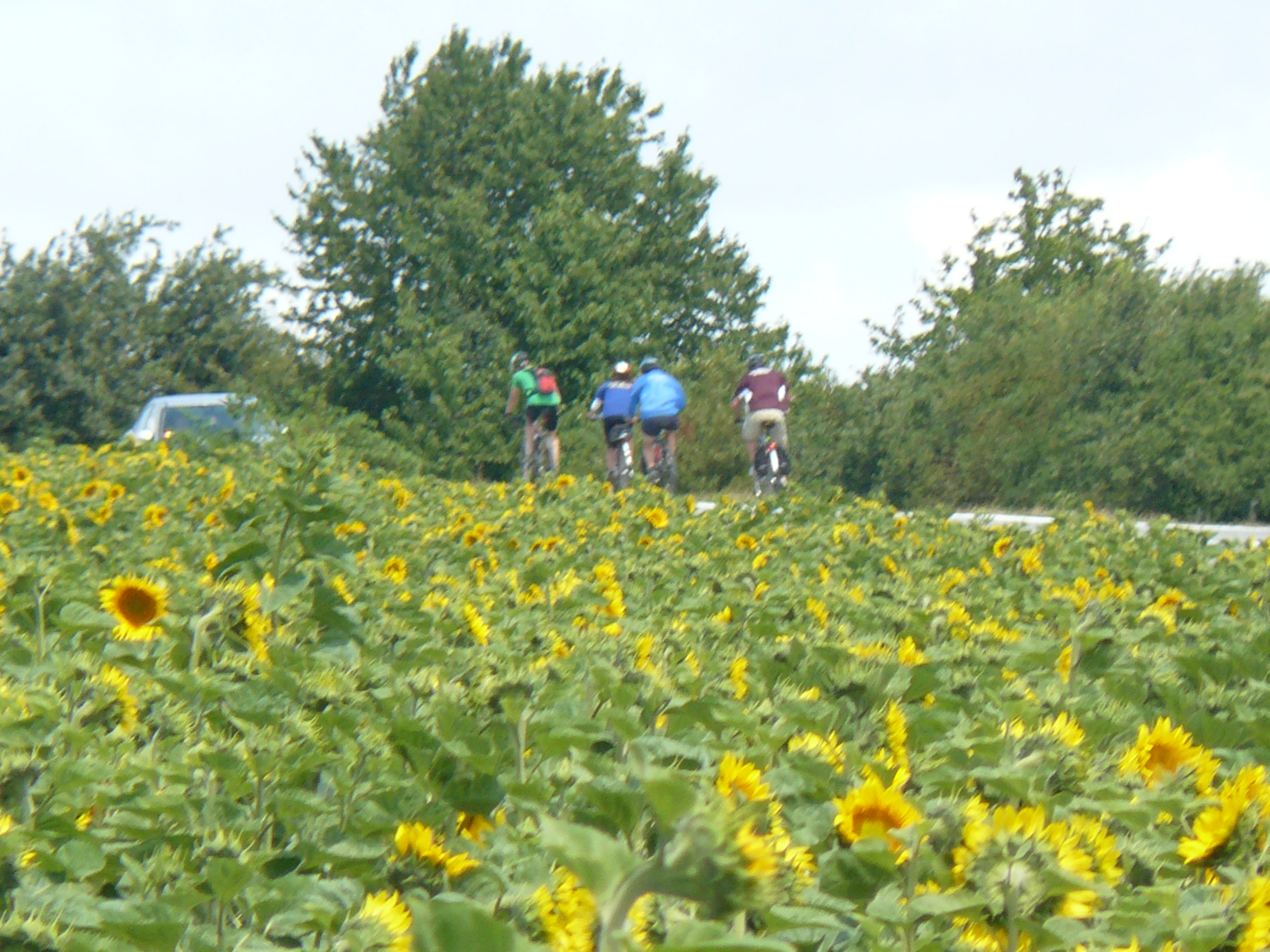 67 Z Luhyne po ceste 79