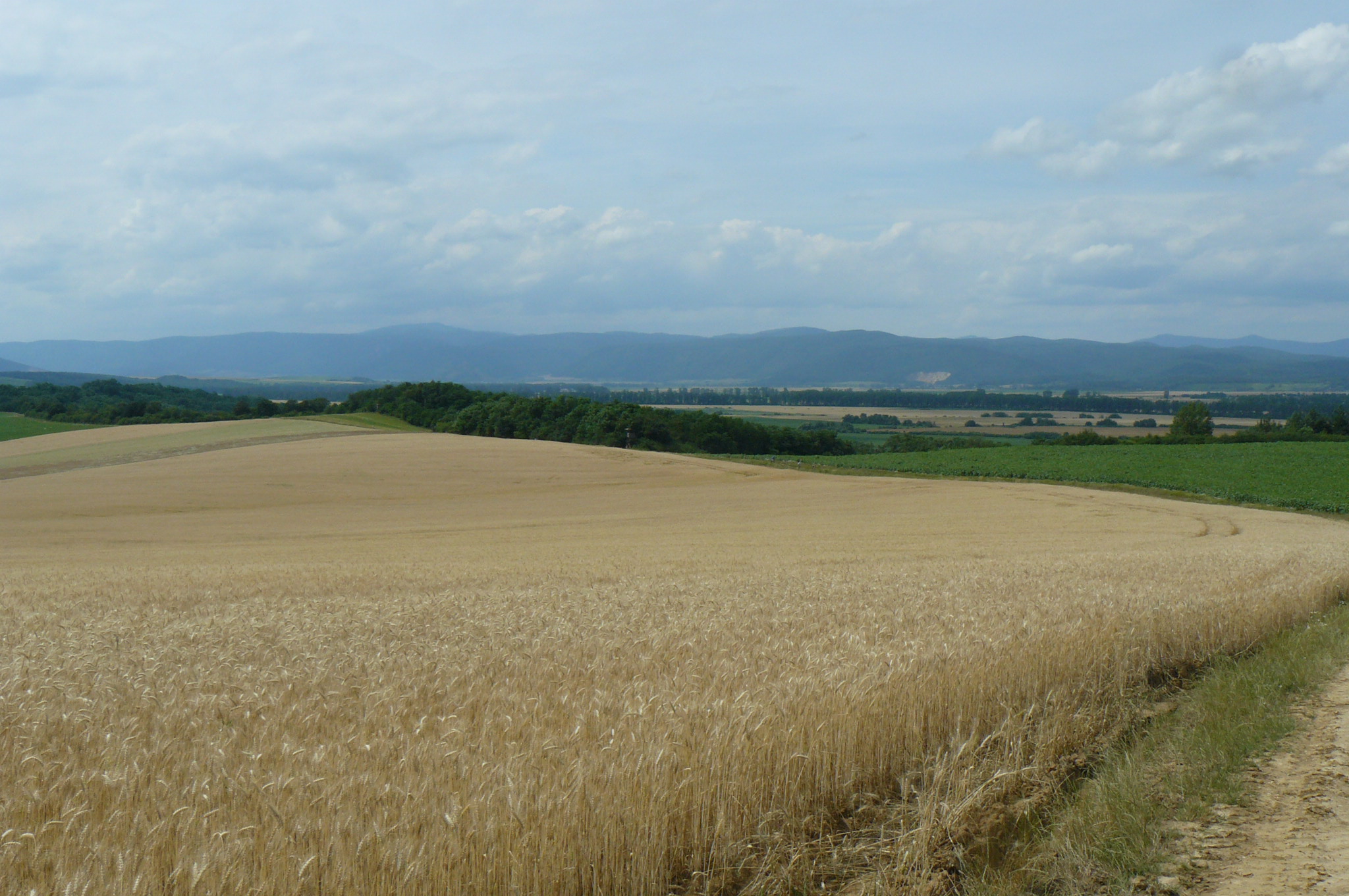 76 Z Janíka do Rešice