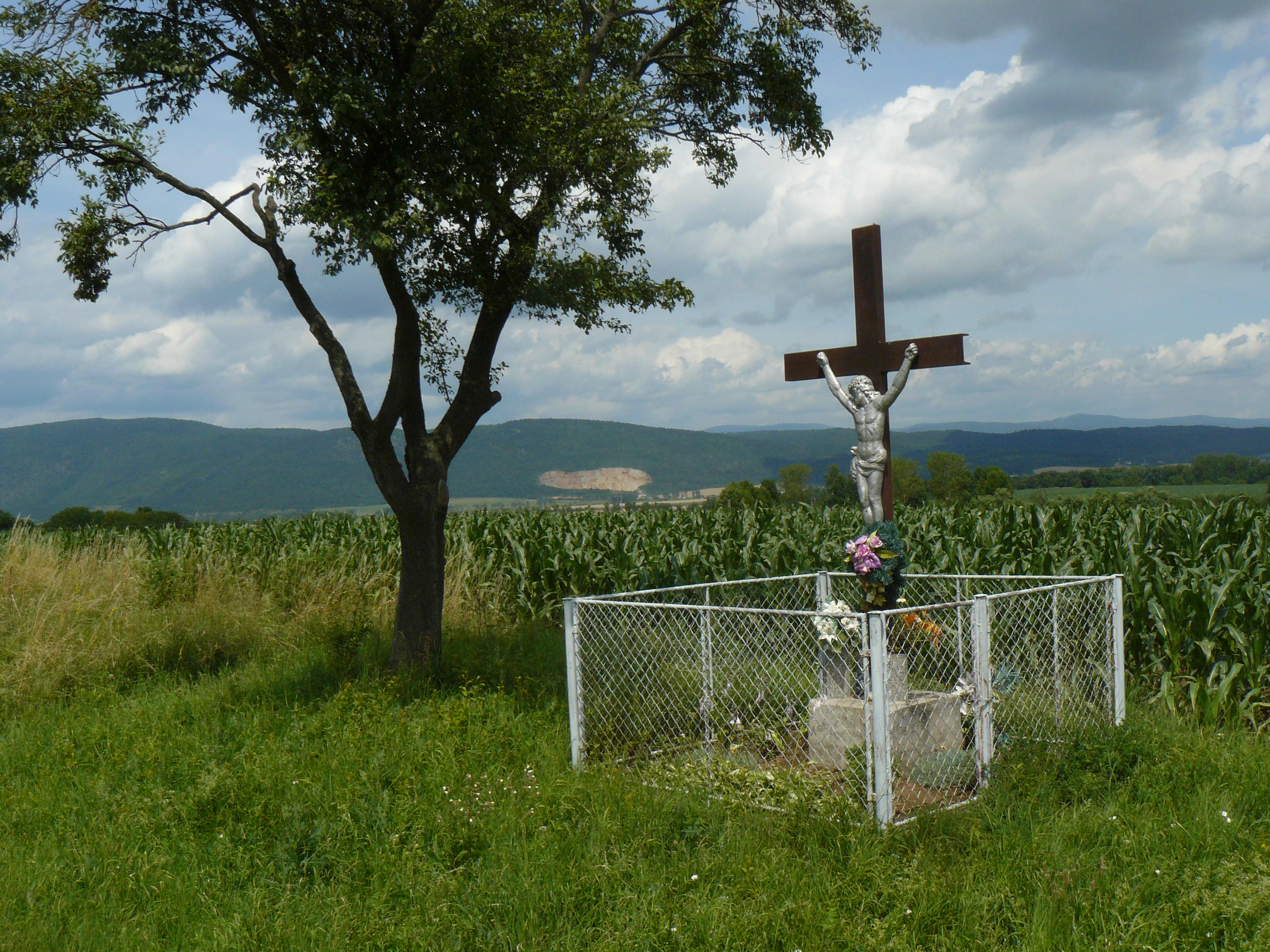 51 Žarnov